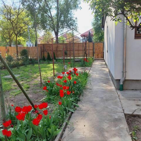 Ujszeged Apartman Exteriér fotografie