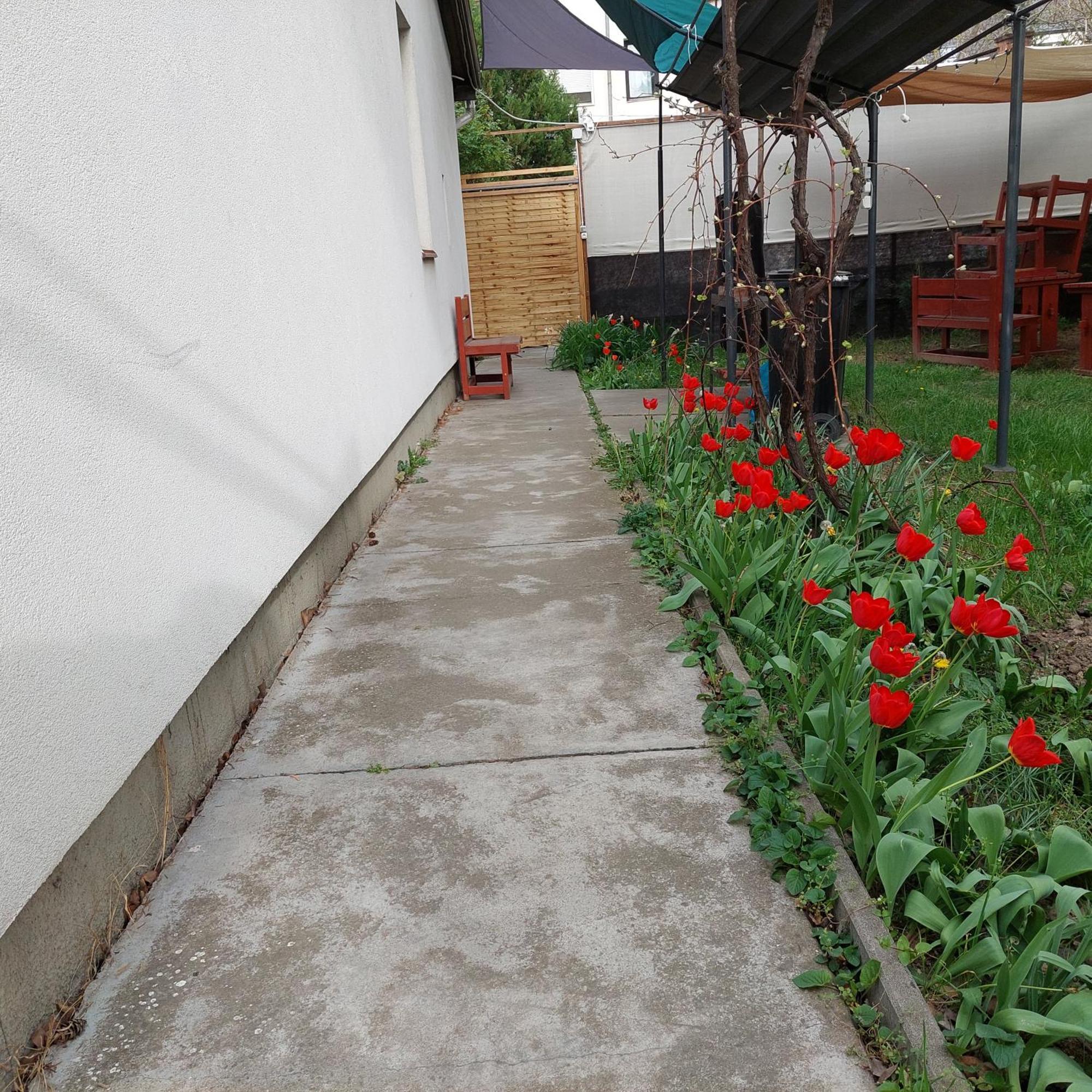 Ujszeged Apartman Exteriér fotografie